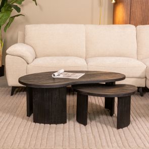 Couchtisch Set Timon 100x58x40 cm