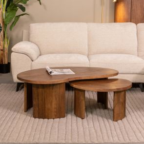 Couchtisch Set Timon 100x58x40 cm