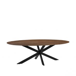 Esstisch James 240x100x76 cm