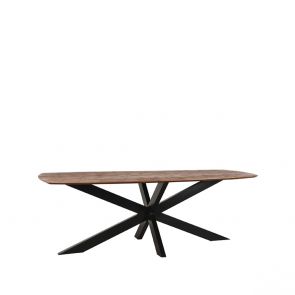 Esstisch Zane 220x100x76 cm