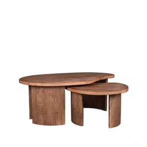Couchtisch Set Timon 100x58x40 cm