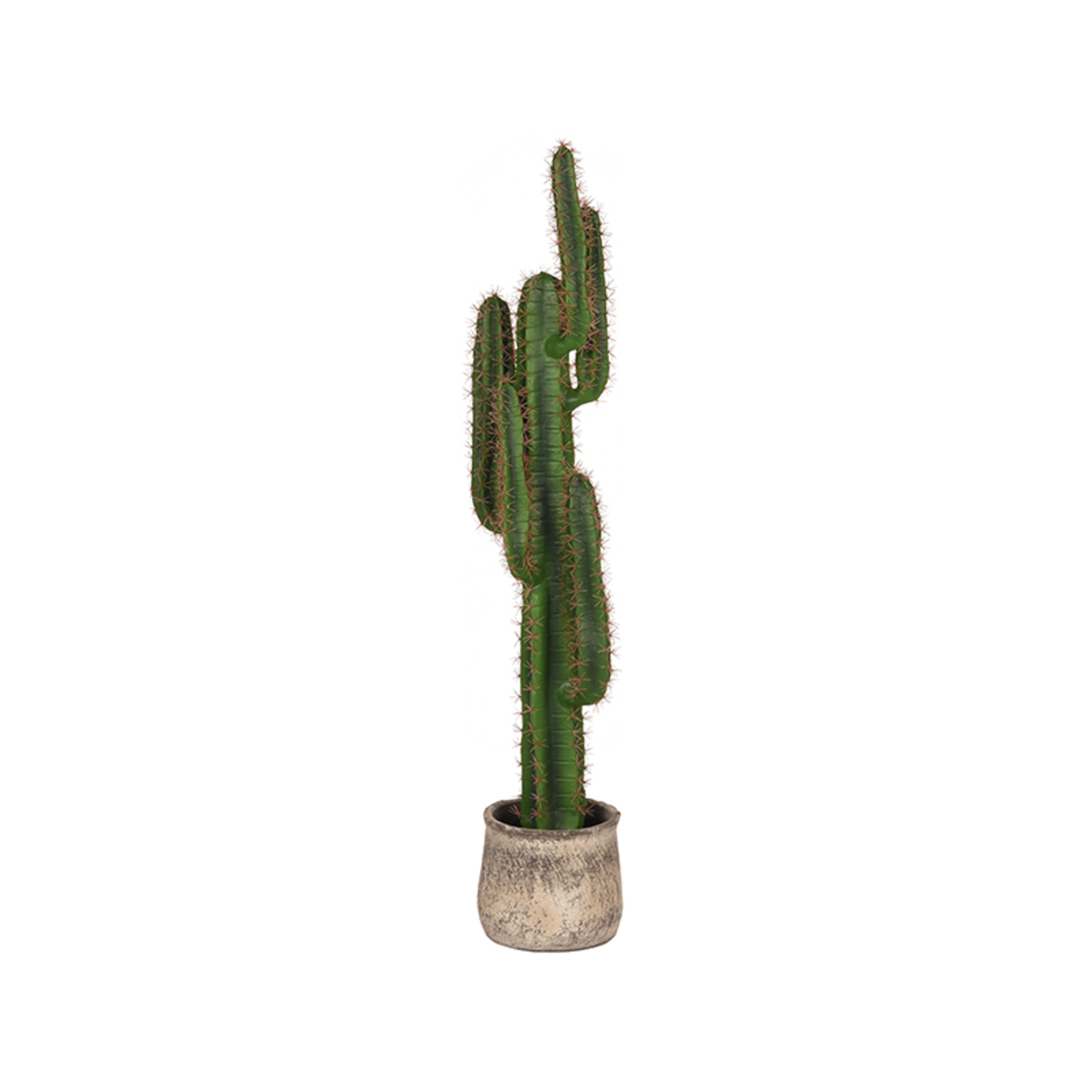 Dekoration I_Cactus - Grün - Kunststoff - Modern - LABEL51