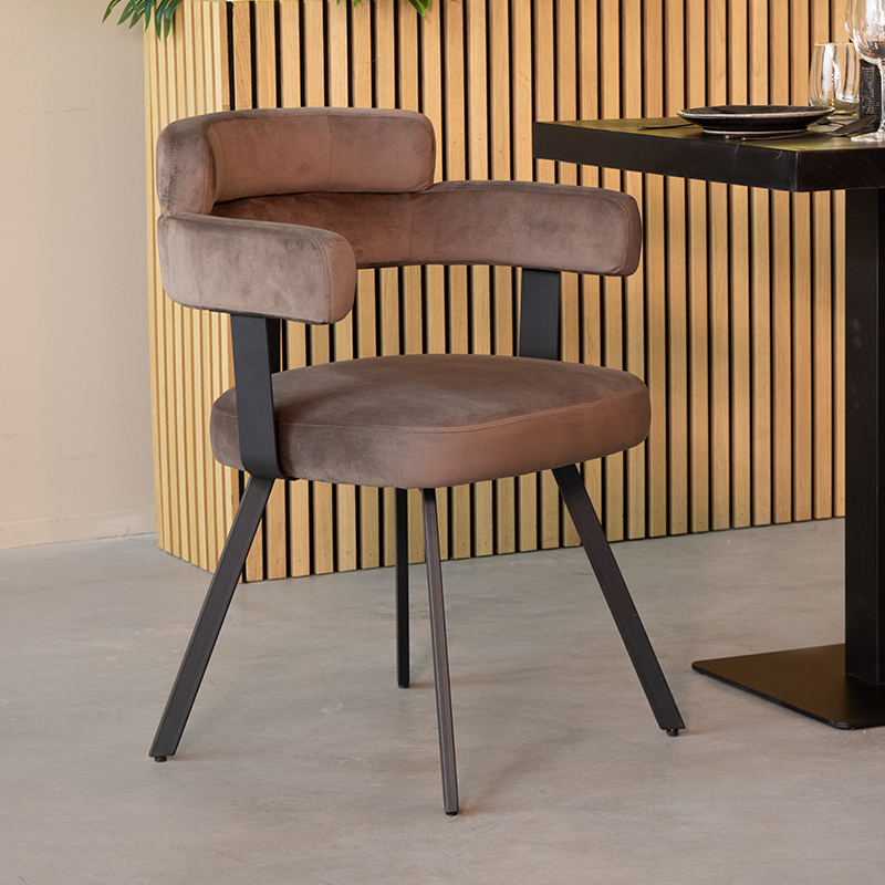 Esszimmerstühl I_Bardio - Armlehne - Taupe - Braun - Samt - Ländlich - LABEL51